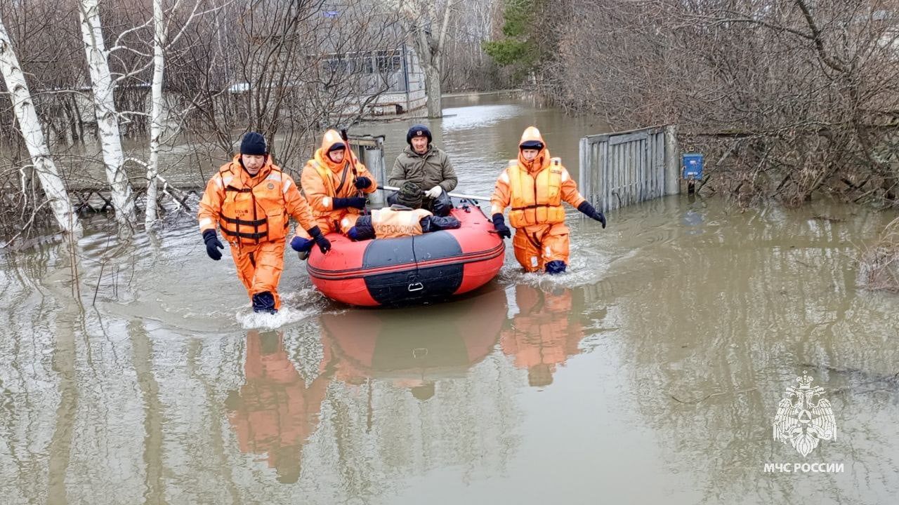 Под Томском затопило почти 140 домов